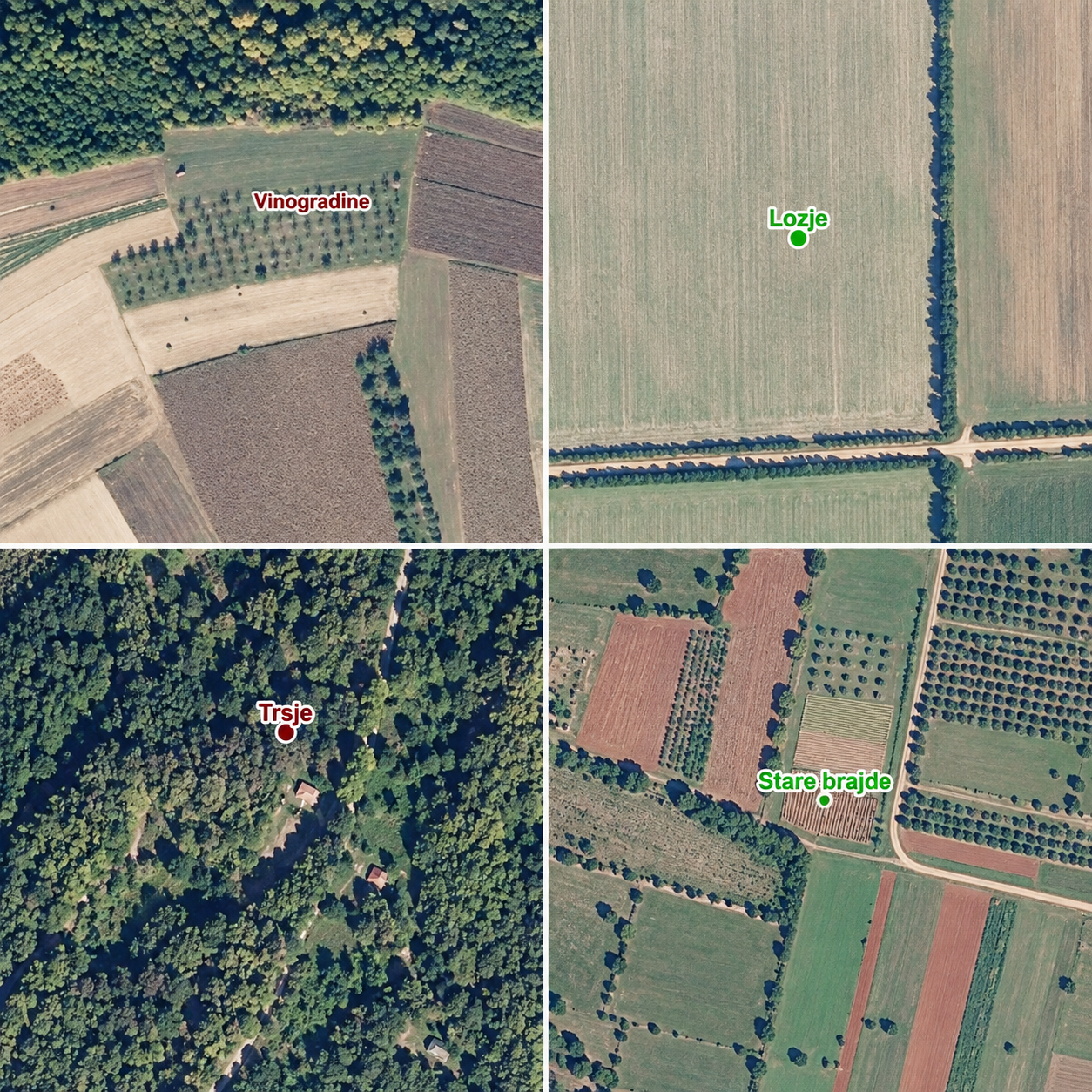 Geografska imena Vinogradine, Lozje, Trsje i Stare brajde prikazana u Registru geografskih imena