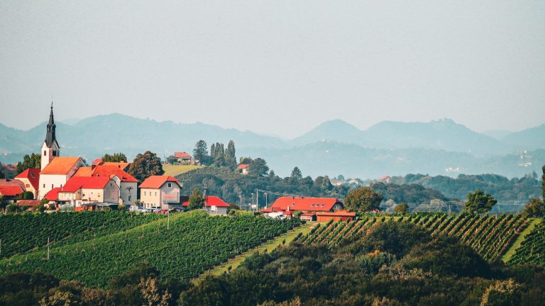 Vinogradi u brežuljkastom krajoliku s naseljem u pozadini.