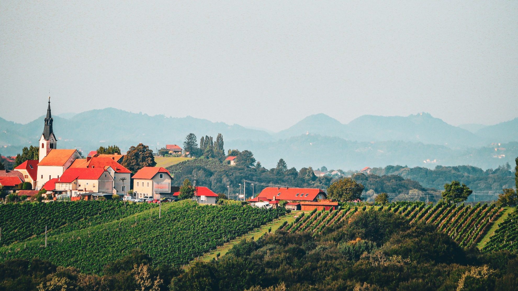 Vinogradi u brežuljkastom krajoliku s naseljem u pozadini.
